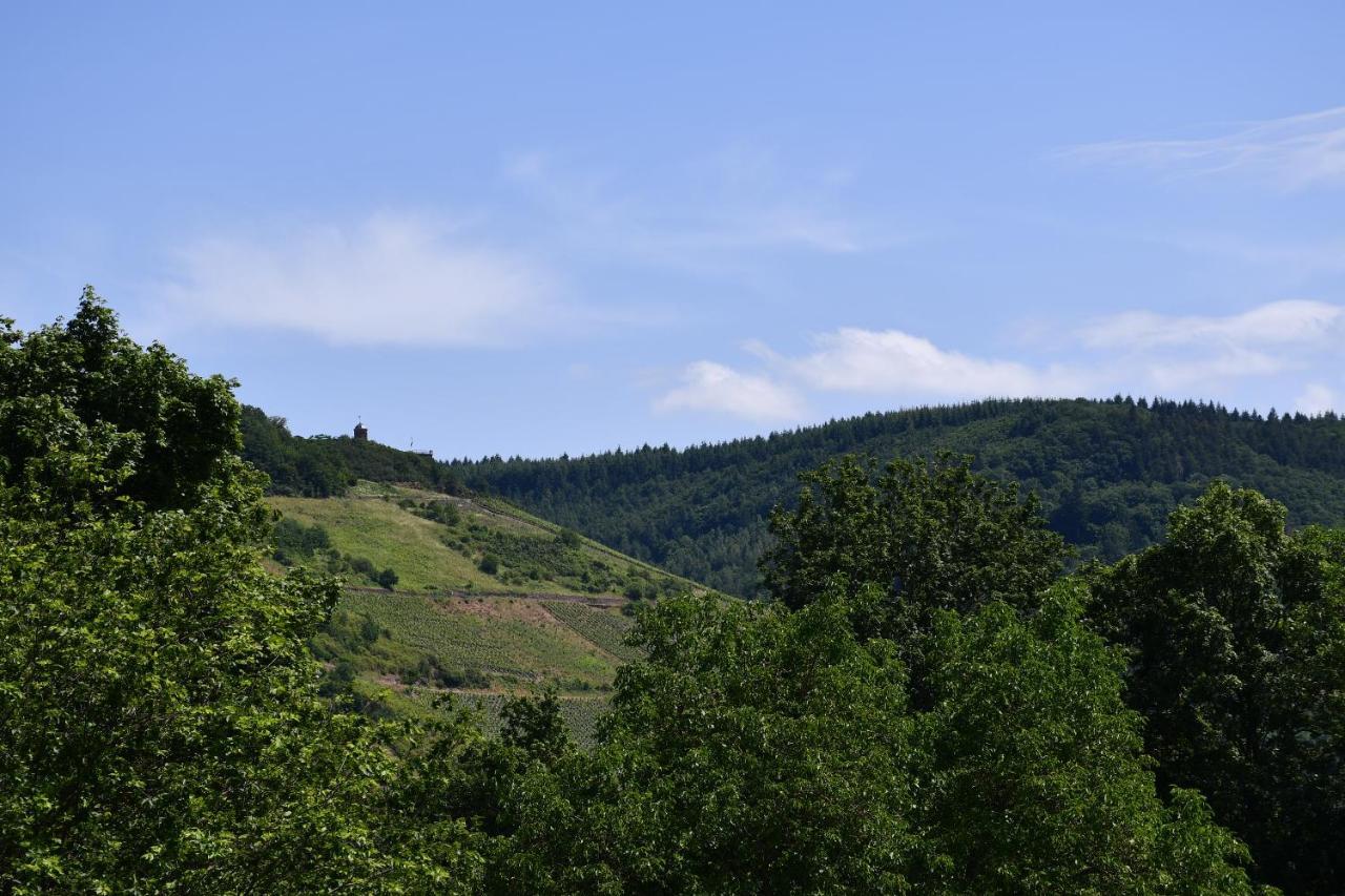Schorn³ Appartements Zell an der Mosel Dış mekan fotoğraf